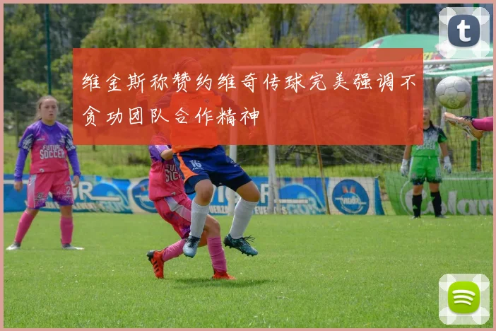 维金斯称赞约维奇传球完美强调不贪功团队合作精神