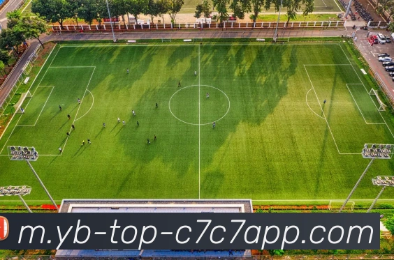 C7C7娱乐品牌故事