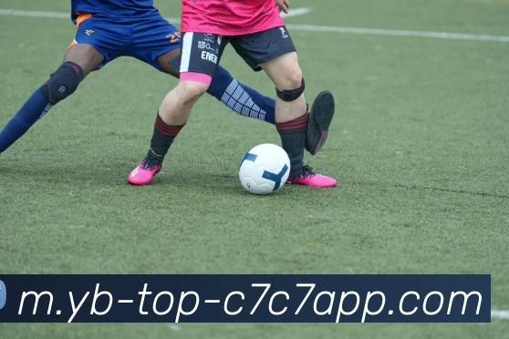 C7C7娱乐服务体系